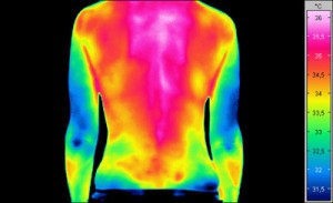 infrarood-gezondheid-thermografie-web