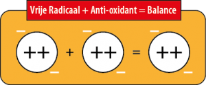 vrije radicalen