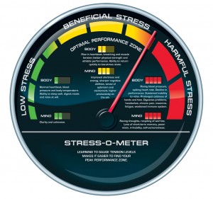 stress meter