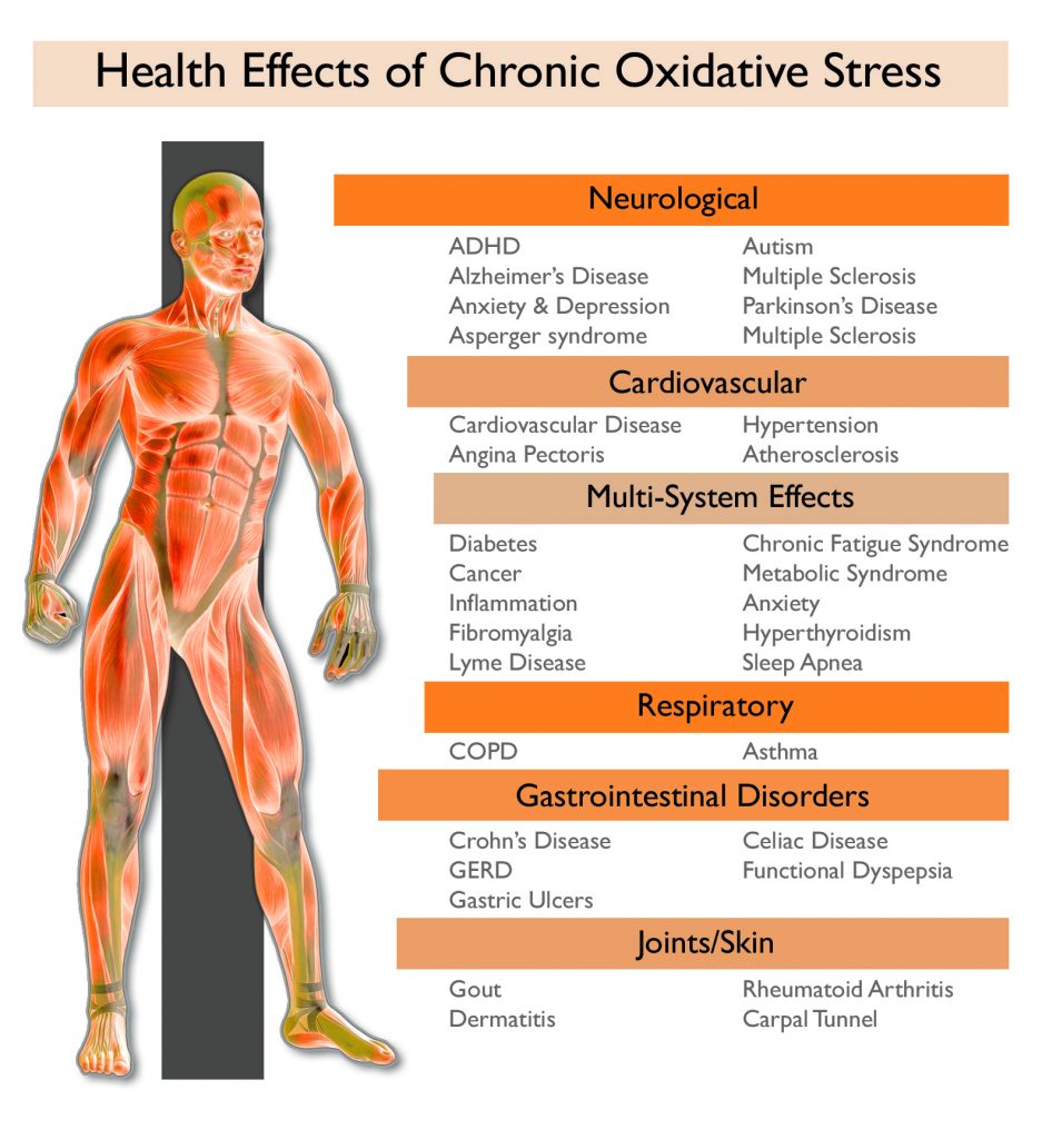 Oxidatieve Stress » Infrarood Gezondheid Thermo Medica